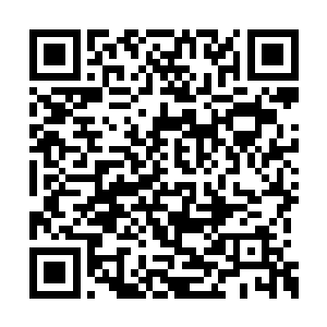 这是一段吸引后方投资者和拓殖者的广告宣传片二维码生成