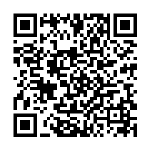 这是一直以来传闻拥有着预言天赋的波特利家族驻地二维码生成