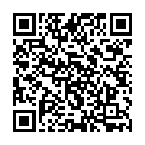 这是一种由金木水火土五行力量凝聚而成的特殊力量二维码生成