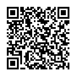 这是不是意味我们这辈子都会看着叶惟的电影度过了二维码生成