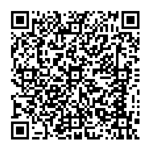 这是两个人的第一次正式见面――八十年代纵横影坛的四大男演员雨果也都全部正式见过面了二维码生成