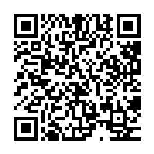 这是两个女孩儿在偶然下听到几个看守她们的一气宗弟子说的二维码生成