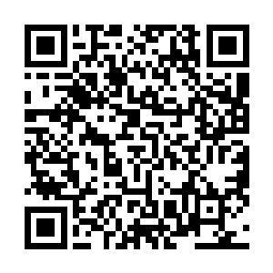 这是个刚出生的孩子啊……还没来得及睁开眼睛这个世界二维码生成