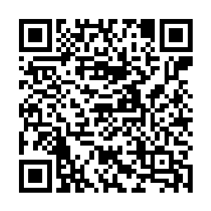 这是之前道门与五脉瓜分战利品时收获幽云道躯和元神二维码生成