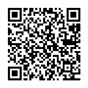 这是什么狗屁逻辑梓箐差点就被对方给绕晕了这次是决一死战的二维码生成
