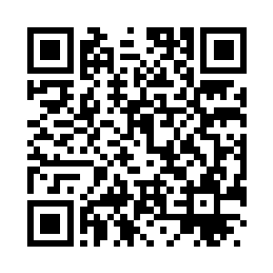 这是今天要拍卖的又一件珍贵物品二维码生成