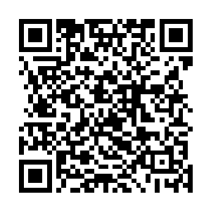 这是从那些骨甲战士身上得到的骨甲做基础炼制的新骨甲二维码生成