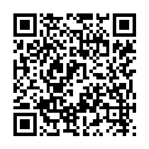 这是他第一次让两种力量同时存在于自己的经脉中二维码生成