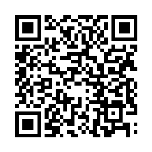 这是任何一个养兰爱好者都不愿意错过的机会二维码生成