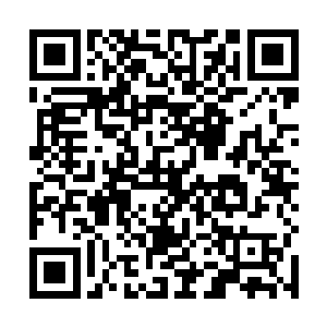 这是伶仙子积蓄了数十万年而一朝苏醒突破的雏形仙天二维码生成