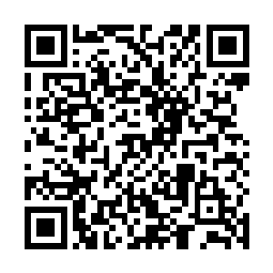 这是免得日后他的这个长孙真的接过了他这国公的位置二维码生成
