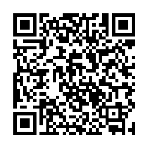 这是古往今来各个时代的极道强者们对山河钟的评价二维码生成