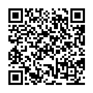 这是因为他们在这个世界想要成为药皇条件非常的苛刻二维码生成