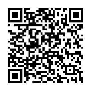 这是因为叶星的身体已经承受不住师问邪的攻击二维码生成