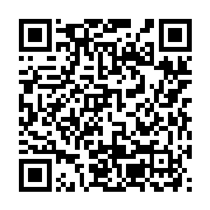 这是因为星辰号采用的跟一号核弹相同的方向飞行二维码生成