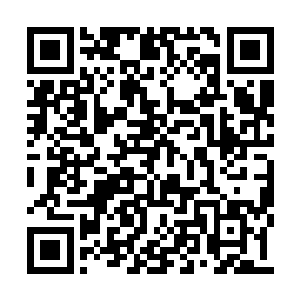 这是因为普森位面和灰烬平原的接壤方式是镶嵌二维码生成