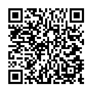 这是因为晶币和下品元晶石在能量的利用效率上的不同所致二维码生成