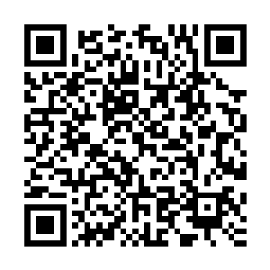 这是天元君在众多柳彤痕留下的法宝中为她挑选出的一件法衣二维码生成