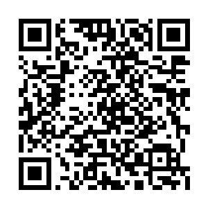 这是奴才等为陛下凑的盘缠……奴才们在宫中也二维码生成