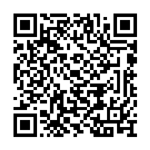 这是她一个人的主意还是和安健业一起想出来的二维码生成