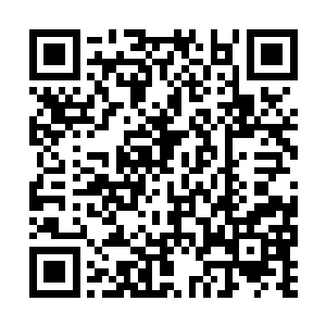 这是家里舅舅往极北之地寻来的紫貂皮制成的大氅二维码生成