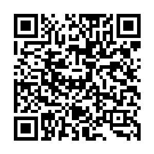 这是寒鳄的盔甲还有牙齿帮我算一下能得到多少荣耀值二维码生成