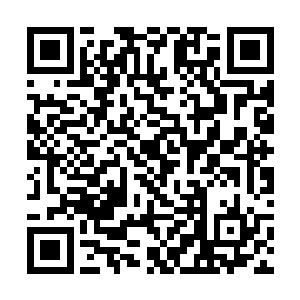 这是张铁为了完成这个大祝福术的仪式在牺牲自己啊二维码生成