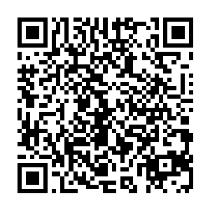 这是张铁第一次看到有人把魔族的苍穹骑士的脑袋制成标本挂在自己办公室的二维码生成