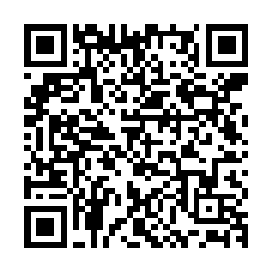 这是很多人都无法抗拒的诱惑不然你说他那么拼命修炼为什么呀二维码生成