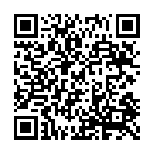 这是恐爪怪的前肢嵌入岩石时缝隙发出的刮擦声二维码生成