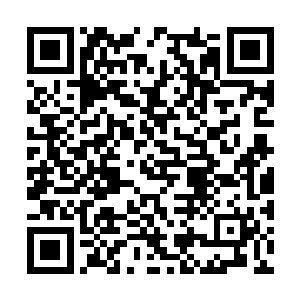 这是恶魔之卵中的新恶魔快要占据这个身体的特征二维码生成