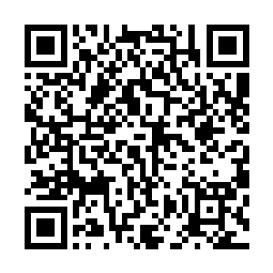 这是我从一截无意中搜集到的远古雷木上所拓印下来的符文二维码生成