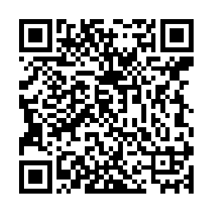 这是我们几个老朋友合着开的一家只对内不对外公开的海鲜店二维码生成