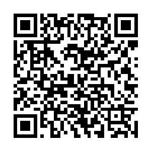 这是我们店里做过的到目前为止最大型的一个蛋糕二维码生成