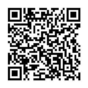 这是我们所有人需要去做也必须去承担的责任和义务二维码生成