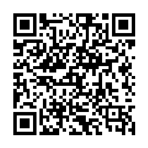 这是我们的欢喜哥两次从影生涯拍摄过程中的集锦二维码生成