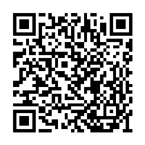 这是我在欧洲拍卖会以六千七百万欧元拍下来的二维码生成