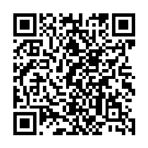 这是我大宋陛下亲自委任我节制京西十四路兵马监事的文书二维码生成