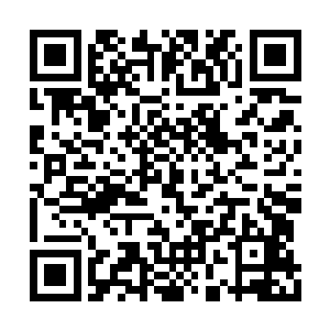 这是我族伽索大师四百年前最著名的一件艺术品二维码生成