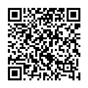 这是我自己设计的给自己锻炼身体和力量的几个锻炼用具二维码生成