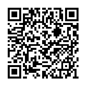 这是拥有侯族上品血脉的妖族才能产生本命妖核二维码生成