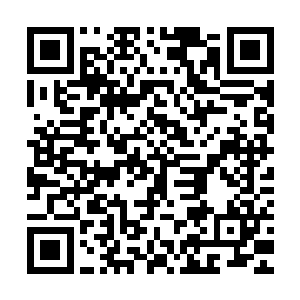 这是方运结合后世的建筑布局以及人族目前的生活习惯设计而成二维码生成