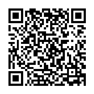 这是昨天那份备受争议的体检报告里所说的一句话说二维码生成