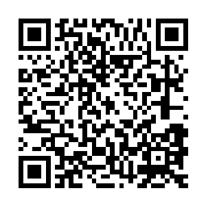 这是有史以来宗主和各峰峰主第一次前来参加外门新进弟子大比二维码生成