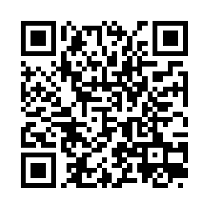 这是楚宁和迪飞也听到了两人的对话二维码生成