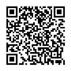 这是殿主耗费数百万年时间才自创出的神级战技二维码生成