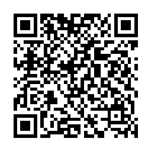 这是比血管和神经网络更纤细和复杂百倍的体液循环系统二维码生成