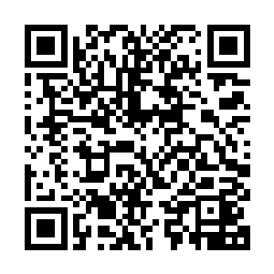 这是洪涛的脸和墙面亲密接触之前他脑子里闪现出来的一个念头二维码生成