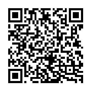 这是王枫与洪宣娇自领军离开天京以来打的第一场正面遭遇战二维码生成