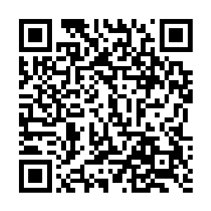 这是现在一大热门话题既然他说自己没和斯图尔特在约会二维码生成